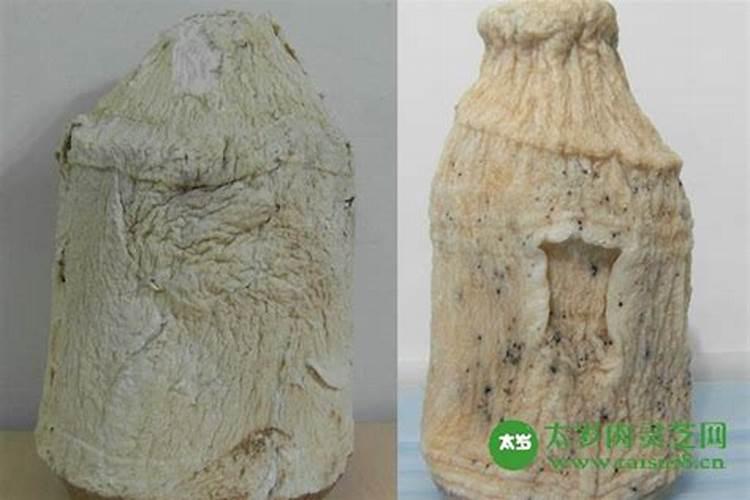 太岁的功效有那么神奇吗