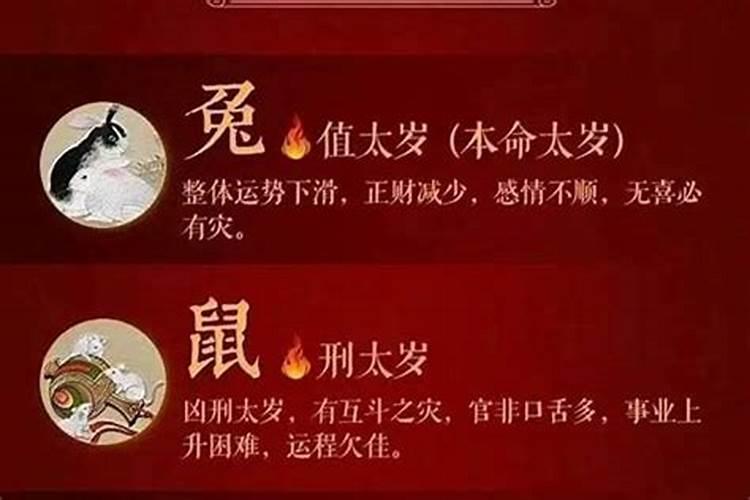生肖羊1967年2025年运势如何 生肖羊1967年2025年全年运势