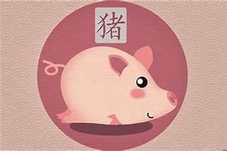 2025年属猪的人犯太岁吗