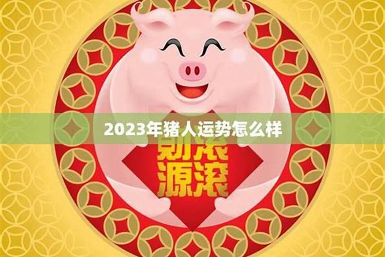 2025猪运气最旺的月份