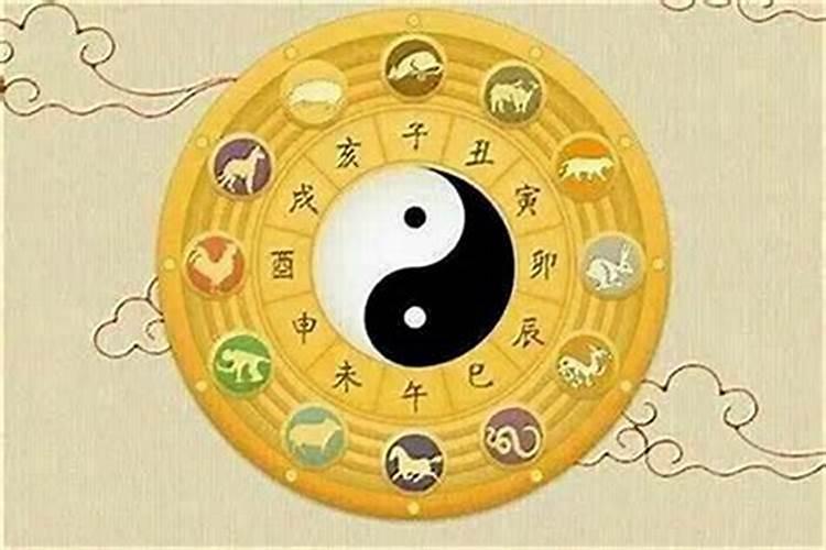 冬至北方吃什么北方冬至吃的食物介绍