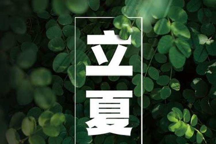 东莞最大花市排名