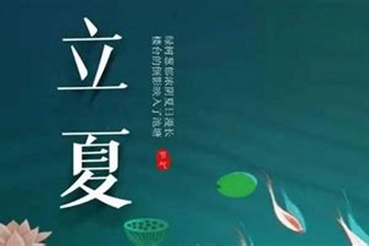 2022东莞春节去哪里赏花比较好