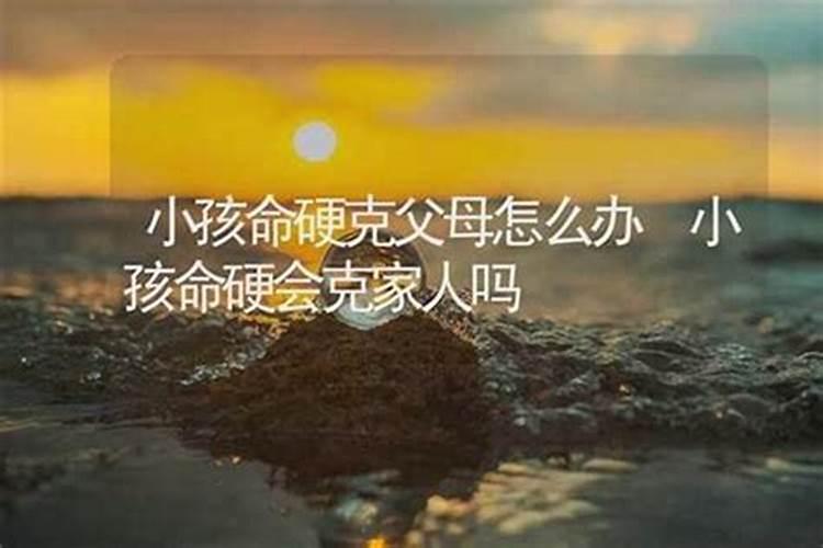 春节出游去东莞哪里好玩