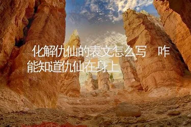 牛年2025年运势及运程