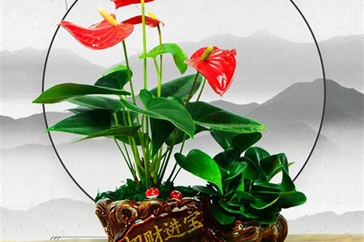 十二生肖佩戴什么招财旺运 生肖招财