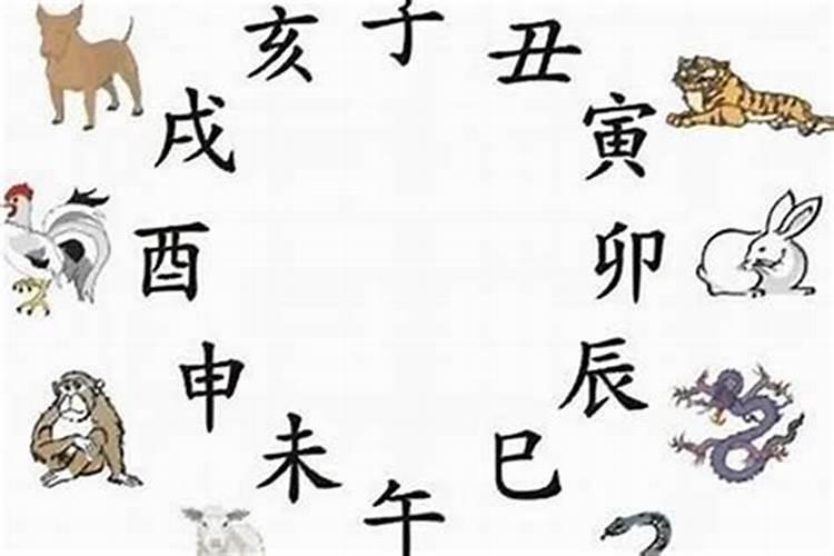 属相不合真的不能在一起吗？