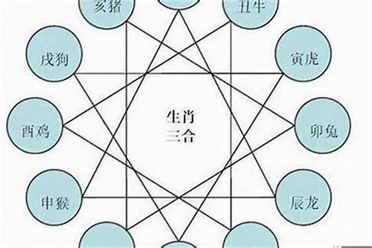 属相不合八字会有合的可能吗,八字不合,属相不合能不能在一起