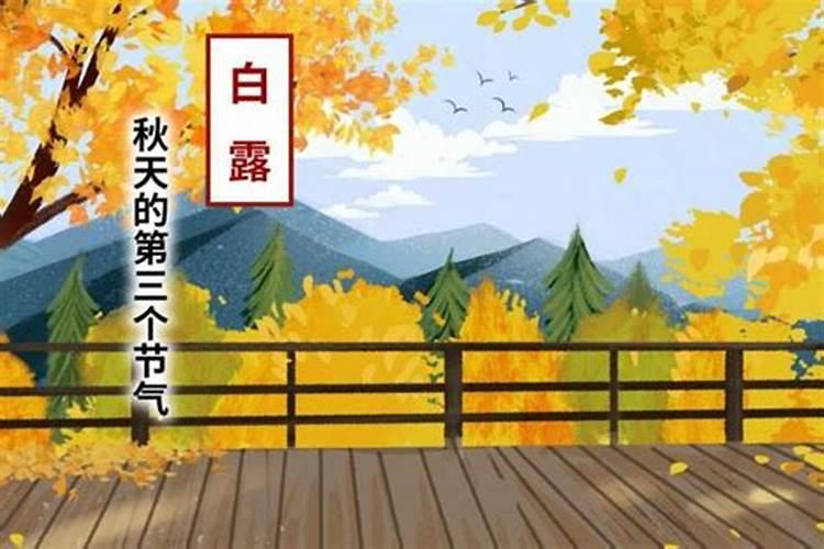 处暑、秋分、白露、寒露是指什么？