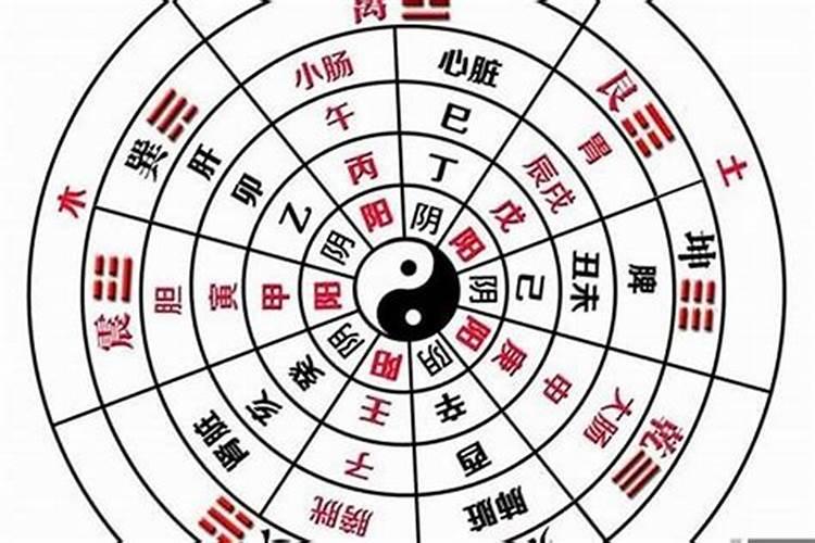56年属猴人2024年运势及运程如何
