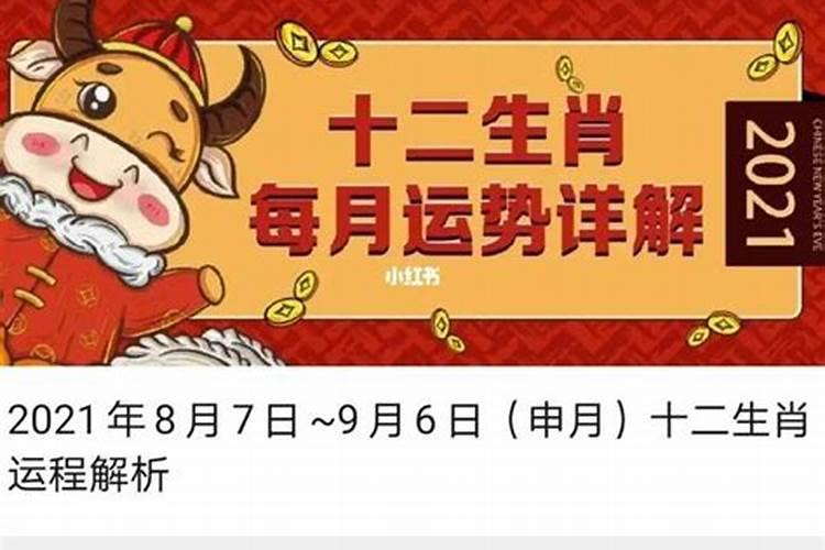 82年属狗人2025运势运程