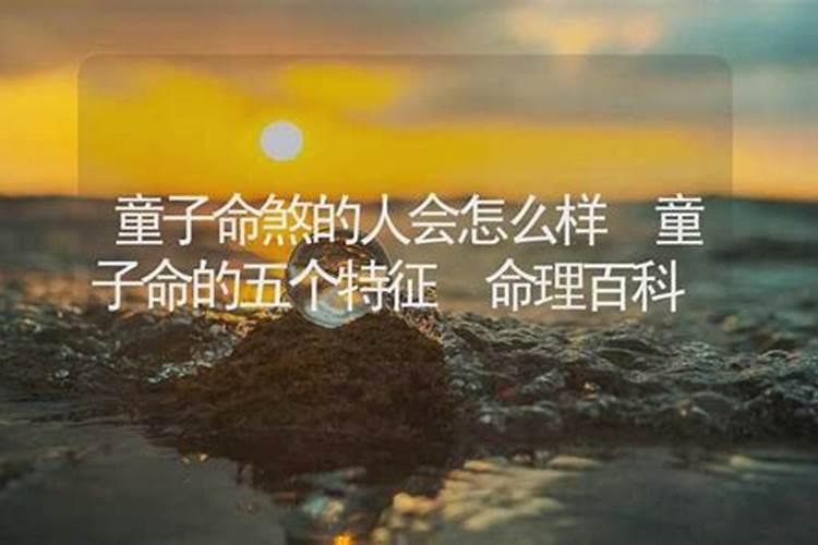 1990年阴历5月18属马是什么命