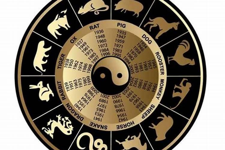 1977年正月出生的蛇命运,1977年农历九月出生的命运