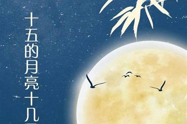 梦见和猫咪玩耍的预兆