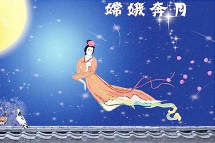 梦见小猫和自己玩的预兆