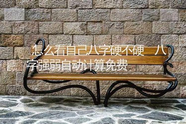 85年属牛 2025年整体运势