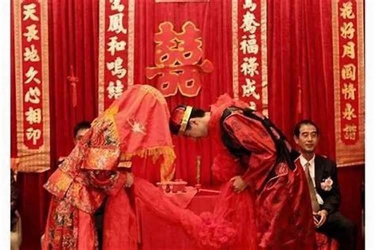 梦见与猫玩耍的预兆