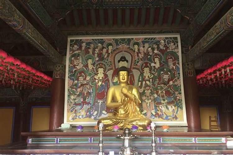 各地(各家)祭扫的习俗,做法？