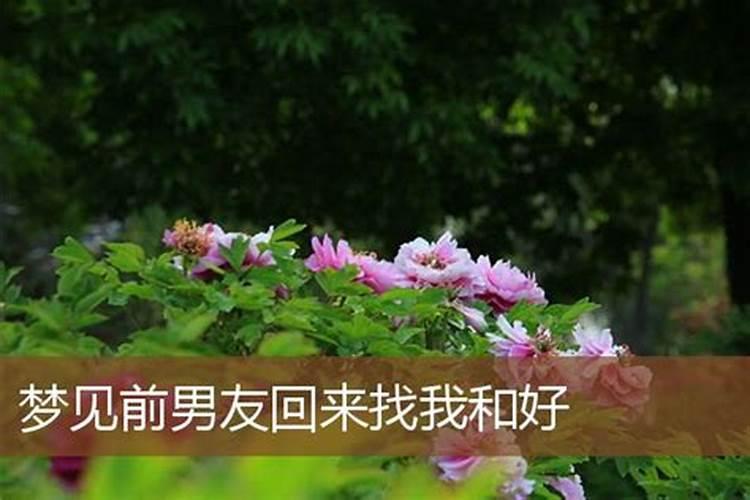 大运年犯太岁命局逢冲,为什么会犯太岁