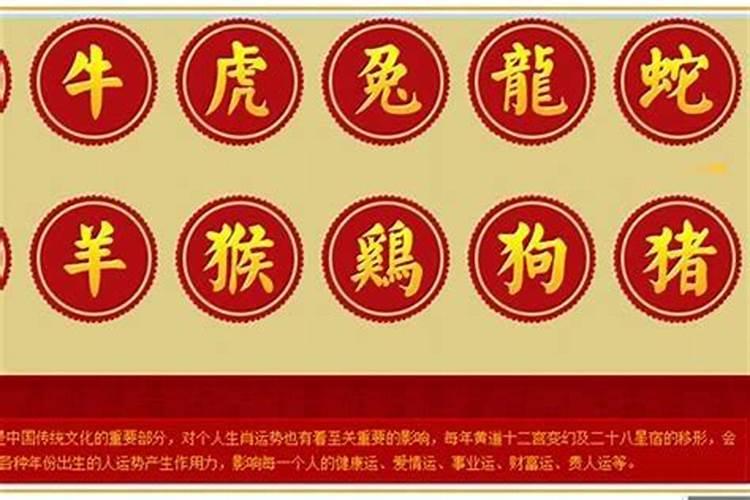 道教中什么是童子？