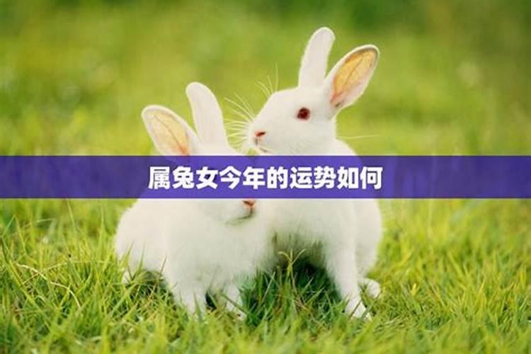 挖出太岁预兆着什么
