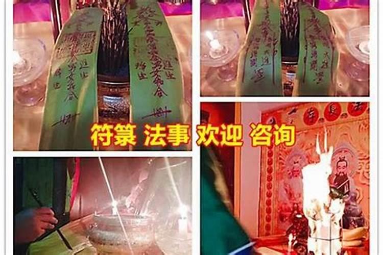 挖到太岁是好事还是坏事？