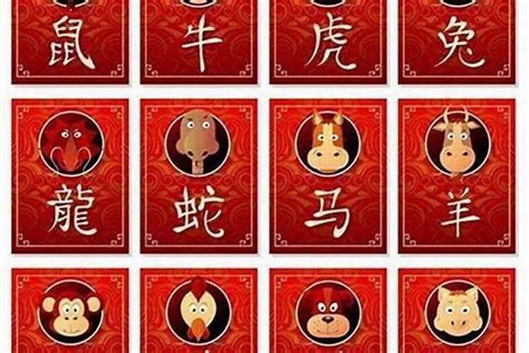 属羊和属龙的婚配好吗 羊和龙合不合