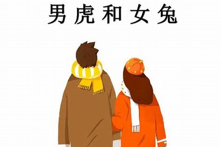 请问石榴木命属鸡的人,适合不适合干电子照明这个行业？