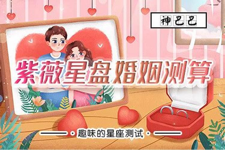 元宵晚会节目单哪个台播出
