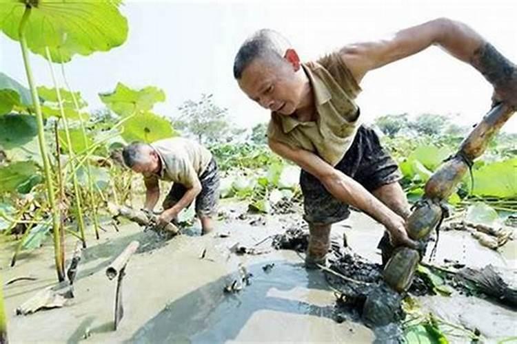 什么是太岁呀太岁头上动土是啥意思