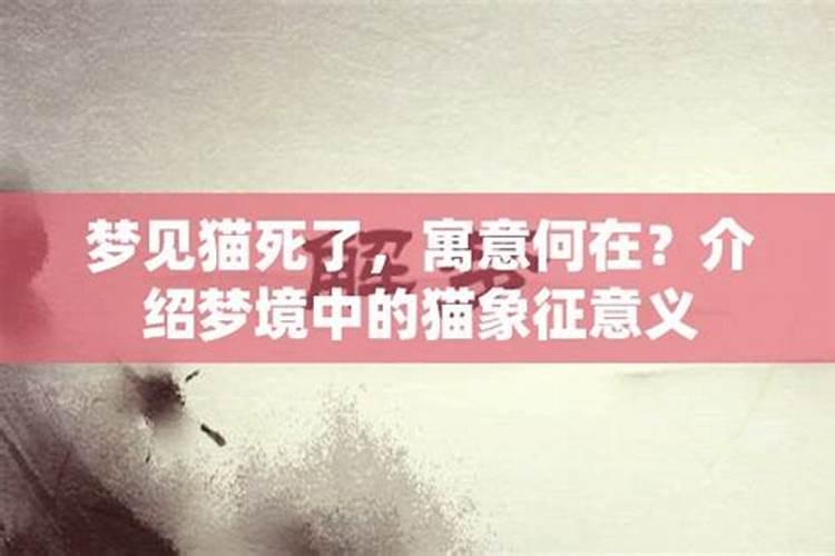 1977年蛇在2026年事业财运感情运势如何？比2025年好一些吗？