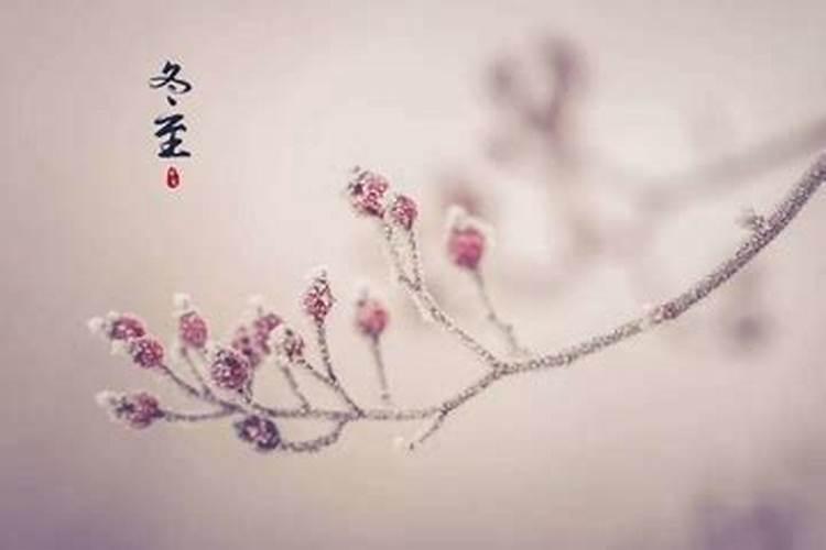 为什么要在冬至上坟祭奠