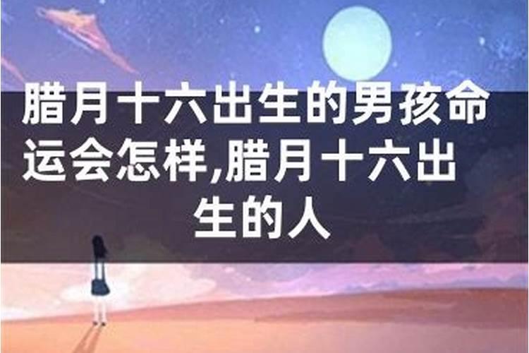正月十五放烟花怎么发朋友圈