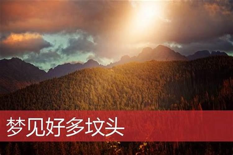 梦见很多坟头的预兆