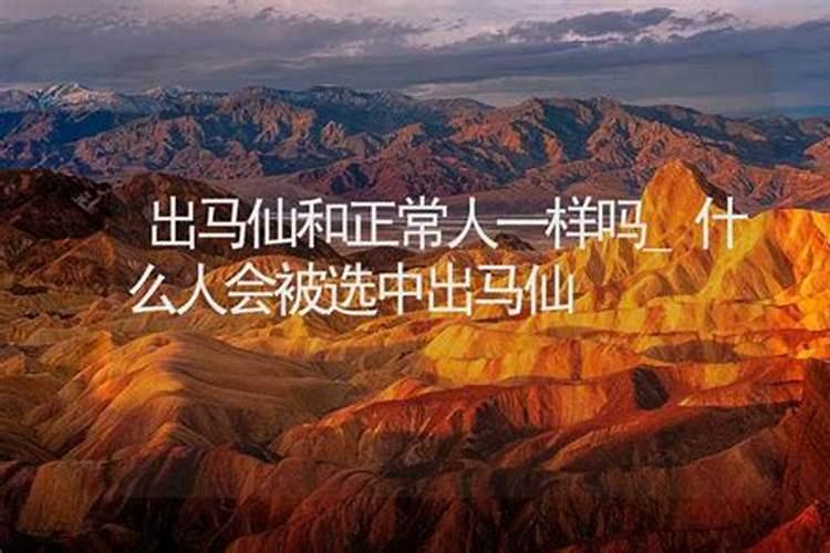 鸡与蛇的属相合不合