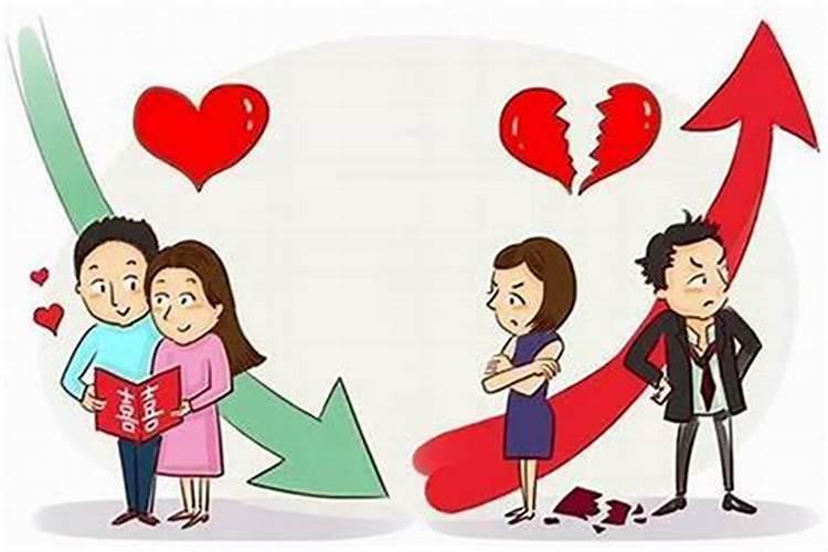 鸡和兔子属相合不合