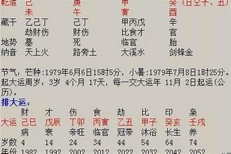 男命。己巳 丙子 戊午 癸亥 请老师看看 最好运势是什么,层次怎么样...