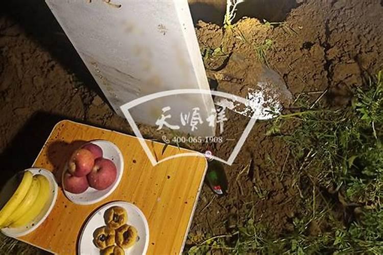 鸡狗属相结婚好不好