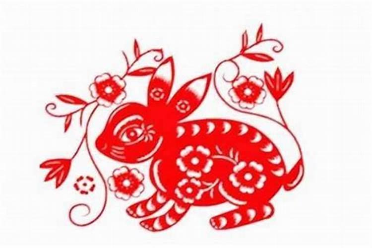 女人梦见一群猫是什么预兆周公解梦
