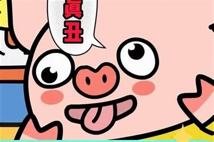 梦到好多猫