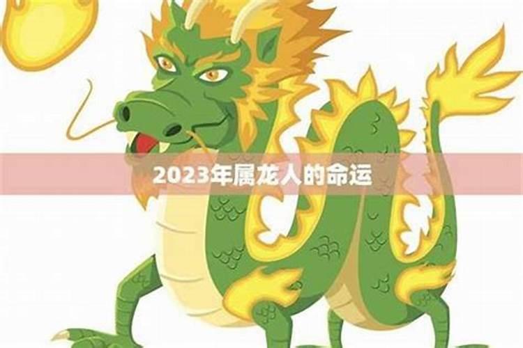 属龙2025运势及运程详解 属龙人2025年每月运势