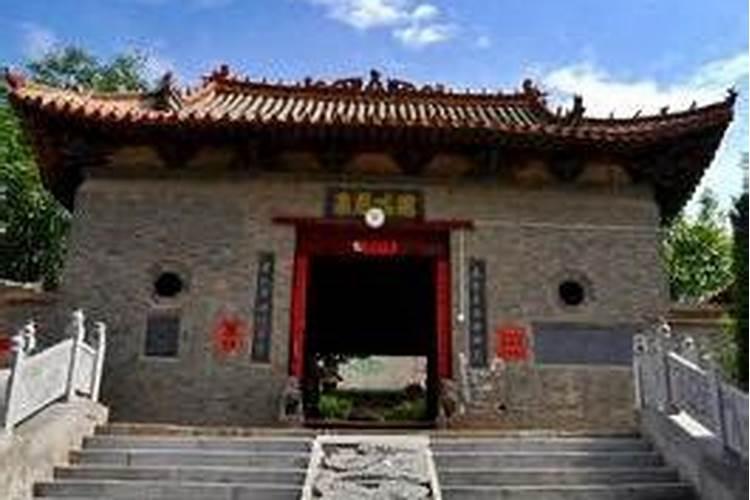 梦见猫产子后死了
