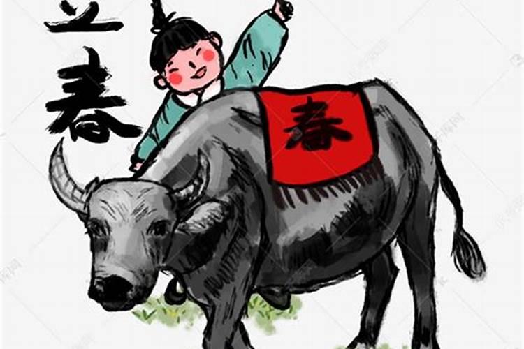 立春有打春牛的习俗