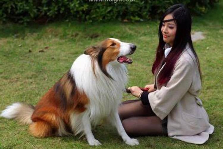 梦见很讨厌的人纠缠