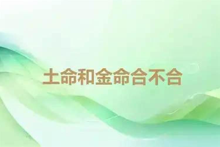 85年属牛佩戴什么才招财 本命年中不宜出远门？