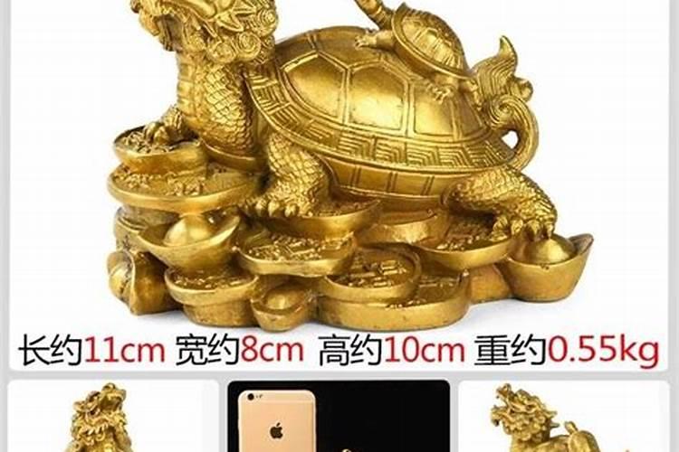 龙龟有什么作用？