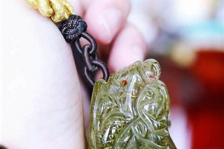 在线等,龙龟的五大禁忌