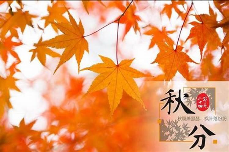 1991年属羊人未来五年的运势