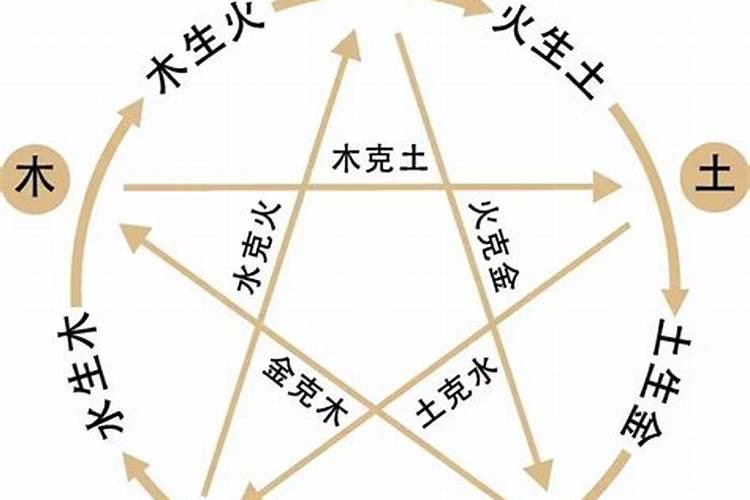 2025属虎女1986年生人的运势和财运