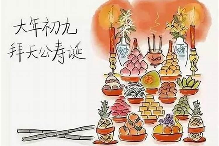 属猪的和哪个属相最合适